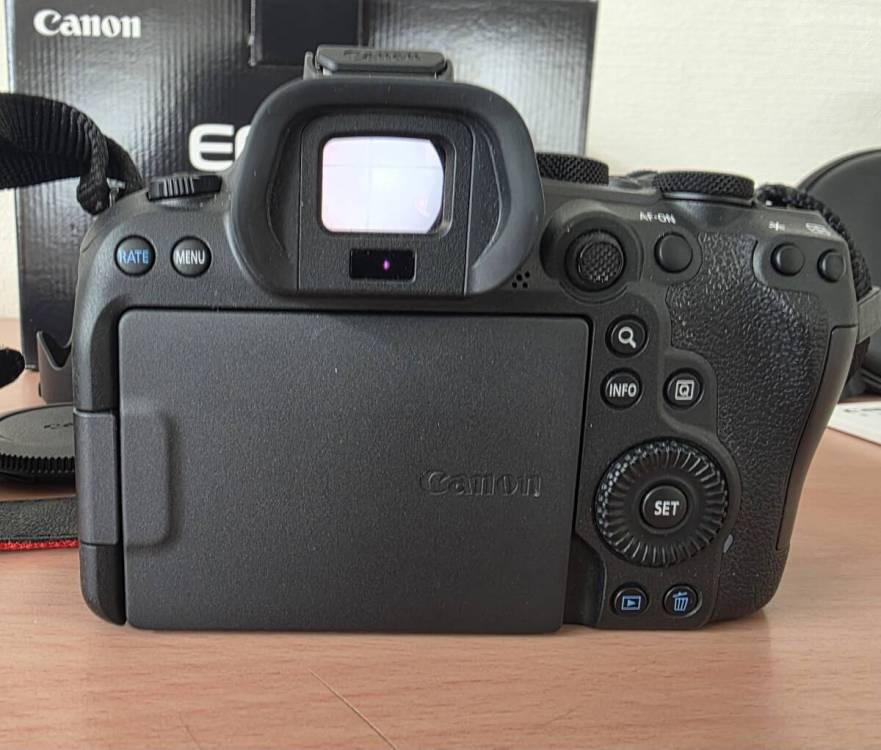 17207【1円スタート】キヤノン EOS R6 Mark II ミラーレス一眼カメラ RF 24-105mm F4 L IS USM レンズ　充電器欠品 現状品 中古品