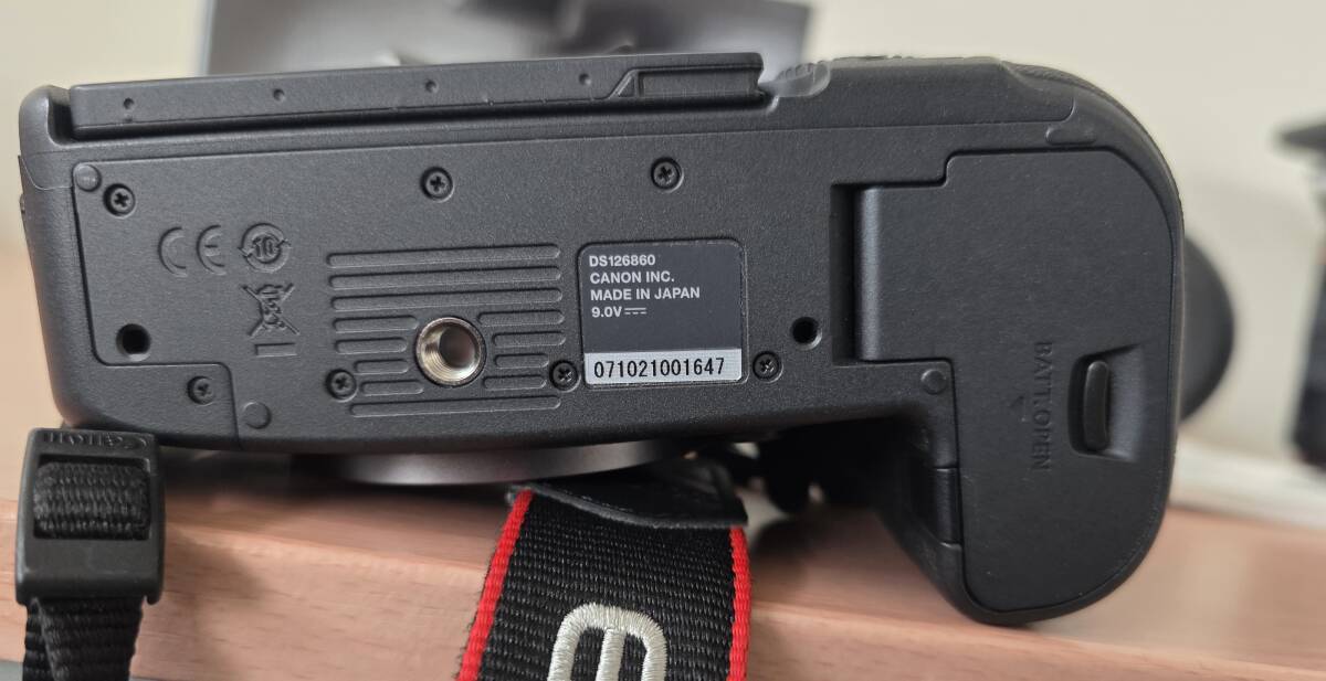 17207【1円スタート】キヤノン EOS R6 Mark II ミラーレス一眼カメラ RF 24-105mm F4 L IS USM レンズ　充電器欠品 現状品 中古品