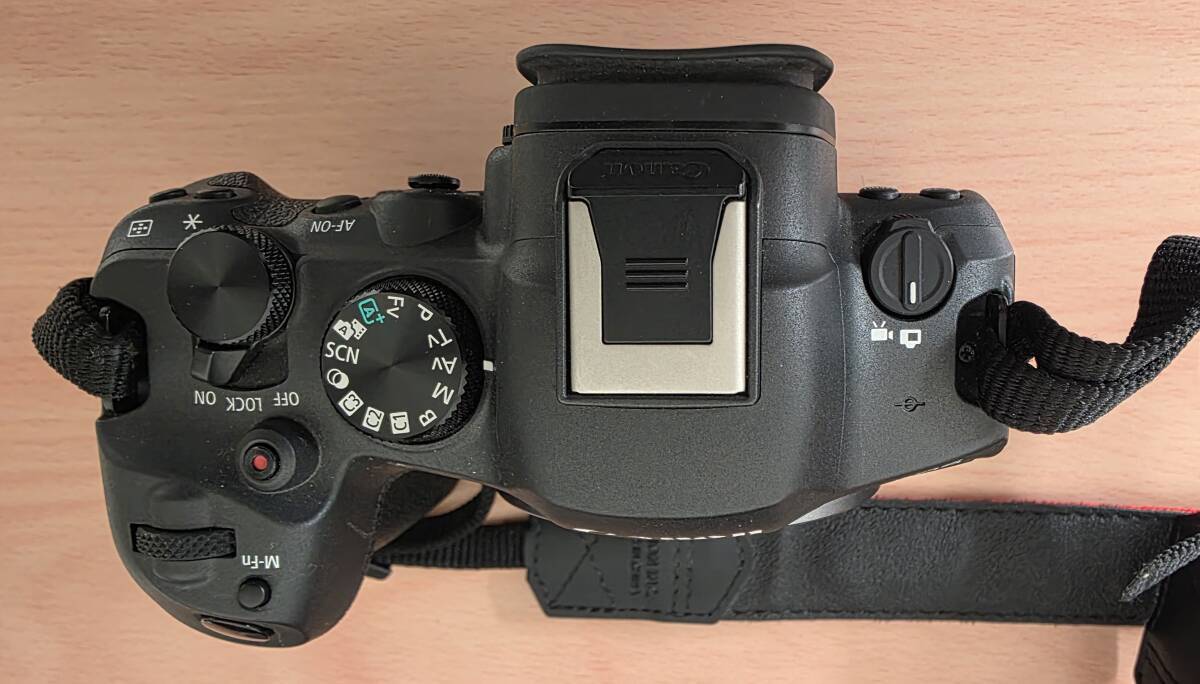 17207【1円スタート】キヤノン EOS R6 Mark II ミラーレス一眼カメラ RF 24-105mm F4 L IS USM レンズ　充電器欠品 現状品 中古品