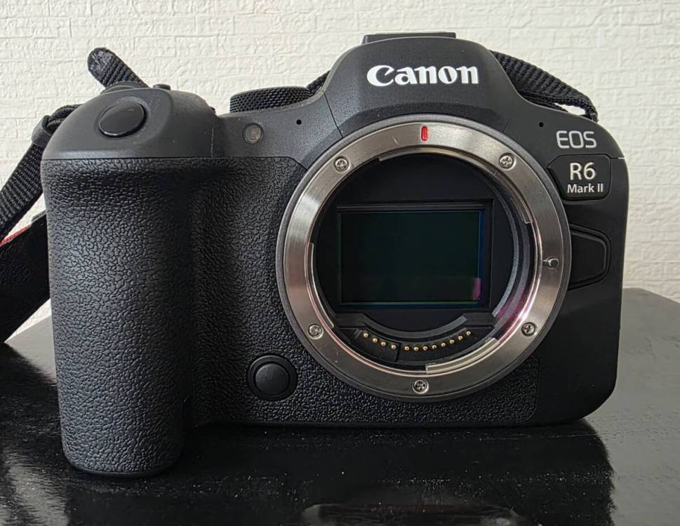 17207【1円スタート】キヤノン EOS R6 Mark II ミラーレス一眼カメラ RF 24-105mm F4 L IS USM レンズ　充電器欠品 現状品 中古品