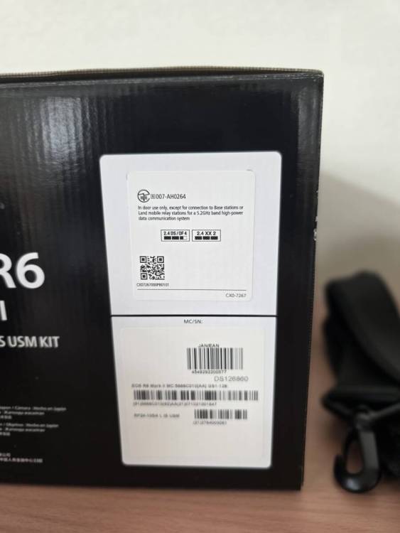 17207【1円スタート】キヤノン EOS R6 Mark II ミラーレス一眼カメラ RF 24-105mm F4 L IS USM レンズ　充電器欠品 現状品 中古品