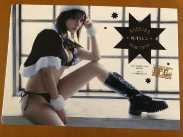 桃月なしこ　両面クリアファイル　ヤングチャンピオン烈　2025年新年1号