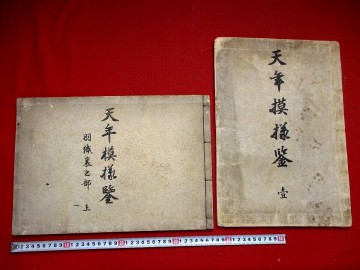 c354● 大型本　天年模様鑑2冊　着物図案　摺り優良　雛形　木版画集　芸艸堂　芸草堂渡辺省亭古谷紅麟神坂雪佳今尾景年　和本 古書