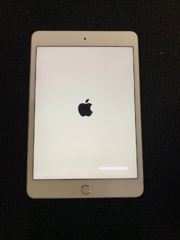 1円★中古品　Apple iPad mini (第５世代) Wi-Fi + Cellular 64GB シルバー　送料無料【4560434683218】