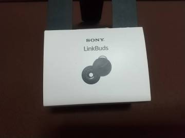 SONY ソニー イヤホン LinkBuds WF-L900/HM 稼働品 中古　１円スタート