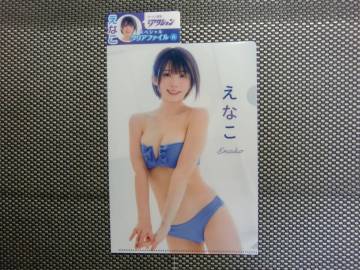 A.えなこ.漫画アクション.2025年.8月5日号.No.15.15号.付録.両面クリアファイル.クリアファイル.ビキニ.水着.ローソン.限定.出品個数5
