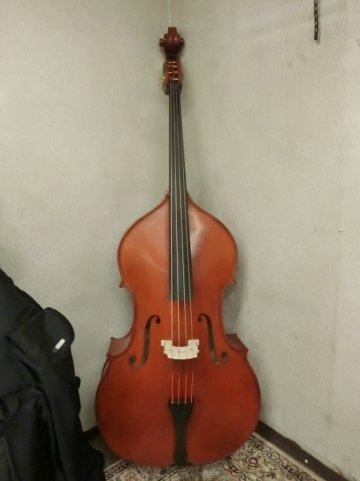 L7127 Gliga Gems II 3-4 グリガ Fecit anno 2022 321265 コントラバス 楽器 弦楽器 ソフトケース