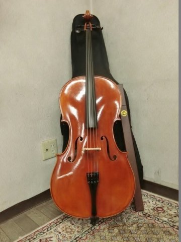 L7128 Jay Haiden ジェイハイダ 127cm チェロ バイオリン 楽器 弦楽器
