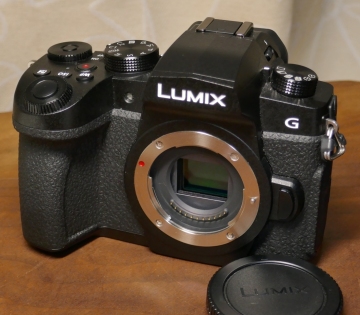 Panasonic パナソニック Lumix ルミックス G99 DC-G99 美品 1円～