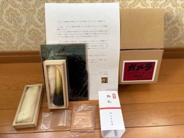 ガメラの牙　【レプリカ】　クラウドファウンディング限定品　送料無料　ガメラ