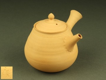 【宇】HC212 常滑焼 鯉江廣造 湯沸 ボーフラ 煎茶道具