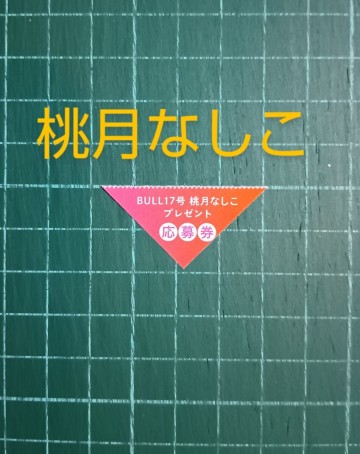 ★在庫３★応募券　ヤングキングBull 17号　桃月なしこ　クオカード サイン入りチェキ プレゼント　抽プレ QUOカード ★送料８５円〜