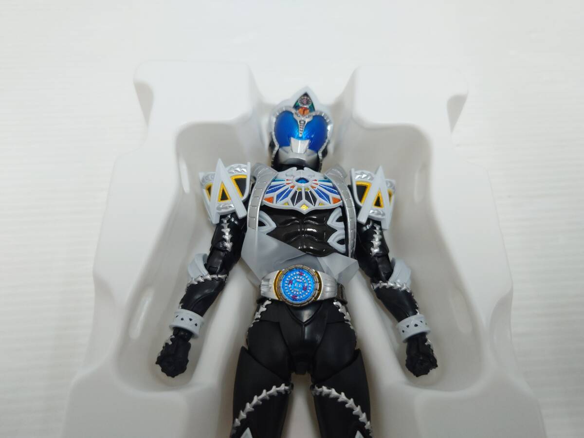  om29) バンダイ S.H.Figuarts 真骨彫製法 仮面ライダーサガ