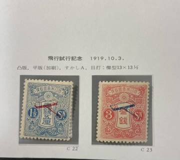 1919年発行　飛行試行　未使用２種完　NH美品　N261