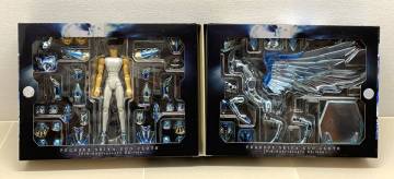 084 C） 聖闘士聖衣神話 聖闘士星矢　ペガサス 星矢 神聖衣10th Anniversary Edition ☆未開封☆ 