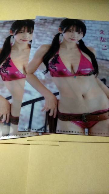 漫画アクション2026年1/20日号付録 ☆えなこ　両面クリアファイル　２枚セット　新品未使用/雑誌付録のみ