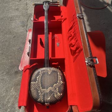 縞黒檀 カマゴン 沖縄三線 脱皮線 琉球 三線 現状販売