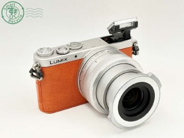 CB0803571　● 1円～ Panasonic LUMIX DMC-GM1 パナソニック G VARIO 1:3.5-5.6/12-32 ミラーレス一眼 カメラ バッテリー付き 中古