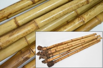 尺八用 竹材 10本 まとめ セット 真竹 根竹 尺八 材料 日本伝統 和楽器 竹製 木管楽器 時代和楽器 時代物 伝統楽器 Ab-218G