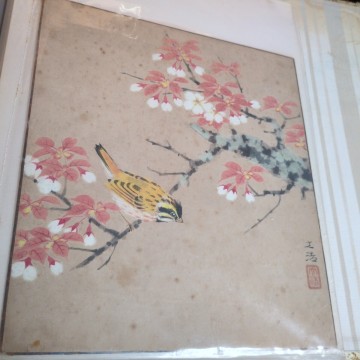 色紙　古書　11