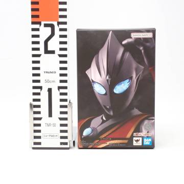 未開封 S.H.Figuarts 真骨彫製法 イーヴィルティガ ウルトラマンティガ バンダイ