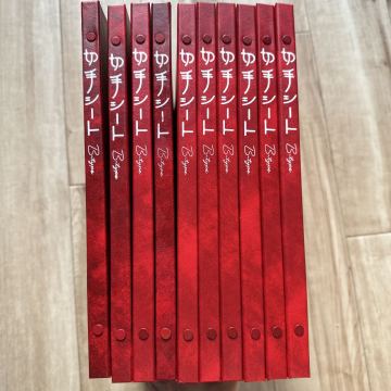 ストックブック テージー KB-31 切手シート収納　赤　10冊セット