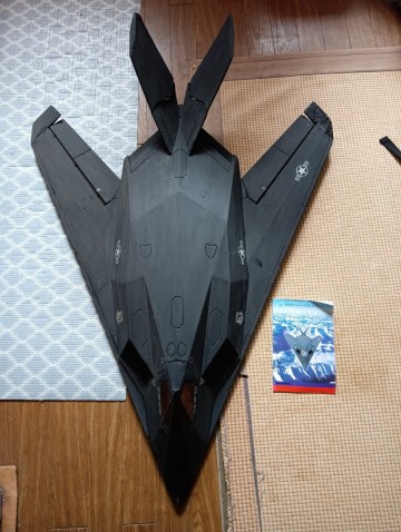 LX MOEL F-117 RC aircraft ラジコン　飛行機