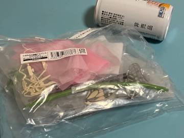 ナミアゲハ★いきもの大図鑑アドバンス アゲハチョウ ディスプレイスタンドセット★ガシャポンオンライン版♪