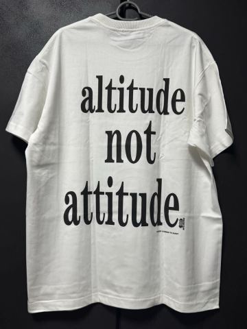 Smashing Pumpkins _ Altitude not Attitude T_shirts XL Tagless スマパン バンドT Rock RHCP RAGE KORN NIRVANA
