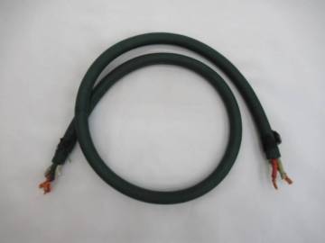 【約1.0m】Einstein スピーカーケーブル GREENLINE アインシュタイン