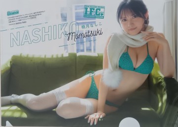 桃月なしこ（Ｂ５サイズ）クリアファイル 同梱対応可