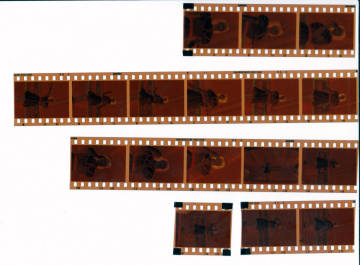 １９　河合奈保子さんのカラー写真ネガ