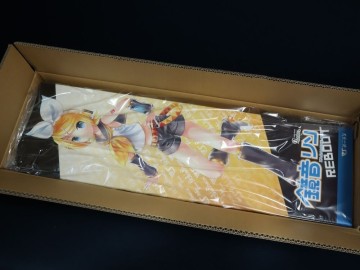 未開封品！DDS 鏡音リン　REBOOT　ドルフィードリーム　未使用品　ボークス