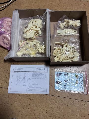 メーカー不明　 ガレージキット 未組立 レジンキャストキット　アスカ　 ガレキ フィギュア