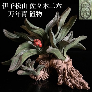 ◇鸛◇ 伊予松山 初代 佐々木二六 万年青 置物 28cm 細密細工 超絶技巧 時代物 古美術品 楽山 水月 唐物骨董