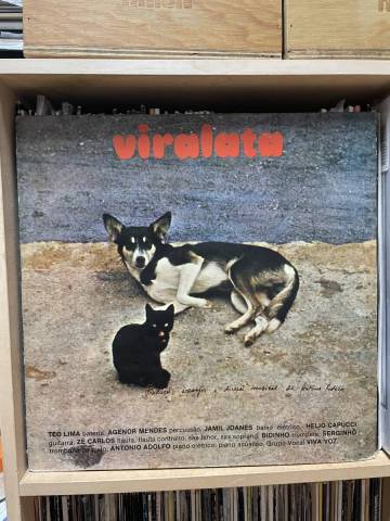 ブラジルオリジナル Antonio Adolfo Viralata LPレコード