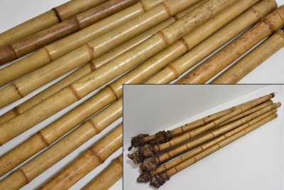 尺八用 竹材 10本 まとめ セット 真竹 根竹 尺八 材料 日本伝統 和楽器 竹製 木管楽器 時代和楽器 時代物 伝統楽器 Ab-66G