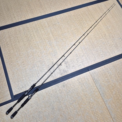 2点 バスロッド エバーグリーン コンバットスティック テムジン TXFC-66L クオッドツイスター TXFC-66MR スティード 220s25-1895-8