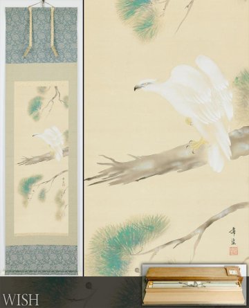 【真作】【WISH】児玉希望「白鷹」日本画 掛軸 絹本 二重箱 金泥仕様 ◆松風に、威厳と雅を纏う鷹　　〇師:川合玉堂 #25100045