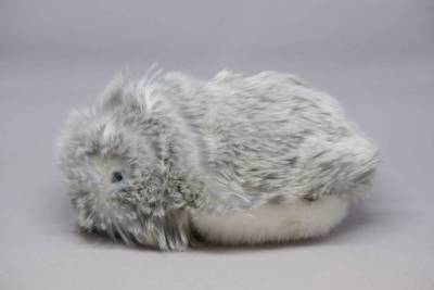 【中古】CASIO AIペット Moflin/モフリン シルバー PE-M10SR｜ふわふわ美品・充電器付き・箱説明書なし