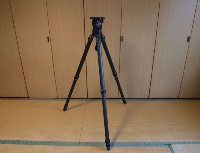 GITZO GT5543XLS + Sachtler FSB8 + hobby'sworld BA75-100/T5