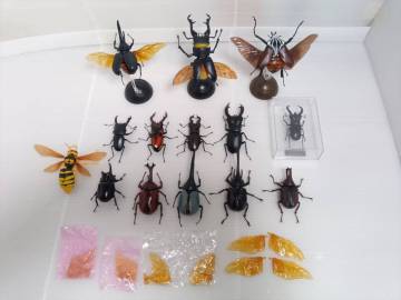 いきもの大図鑑 ミニコレクション 等 / まとめて / ガチャ