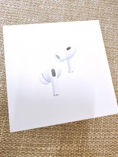 【1円スタート！】 Apple AirPods Pro (2nd) 第2世代 MQD83J/A A2698 A2699 A2700 美品 箱ありケースあり アップル