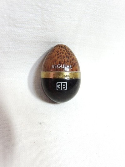 ☆DAIWA ダイワ 水中ウキ REGULAR ３B ☆