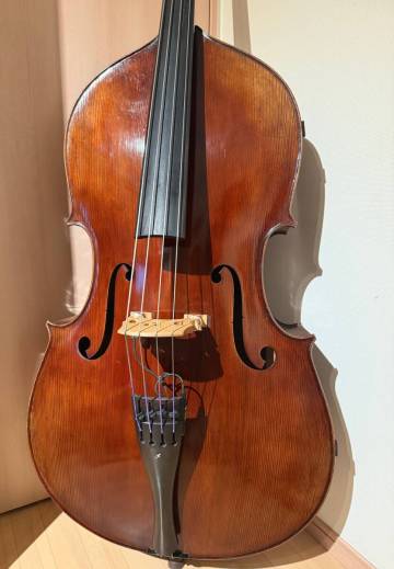 Kolstein Giovanni Dollenz Model 完全調整済