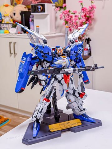 1/100 EX-S ガンダム　カスタム　完成品　HG MG RG PG 1/100 1/60 1/144