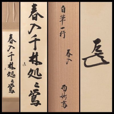 【古美味】而妙斎 自筆一行書「春入千林処々鶯」軸装 茶道具 保証品 9iJC