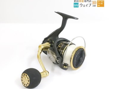 ダイワ BG SW 6000D-P