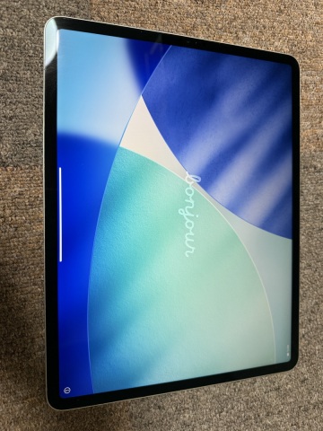 iPad Pro 12.9インチ（第4世代）256GB シルバー MXAU2J/A 元箱あり