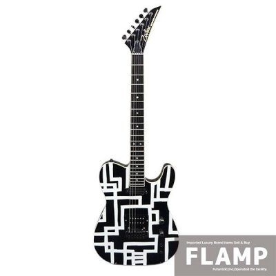 1円～ 美品 50本限定 ZodiacWorks ゾディアックワークス TC-HOTEI 25th Anniversary サスティナー 布袋寅泰 使用モデル エレキギター 中古